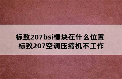 标致207bsi模块在什么位置 标致207空调压缩机不工作